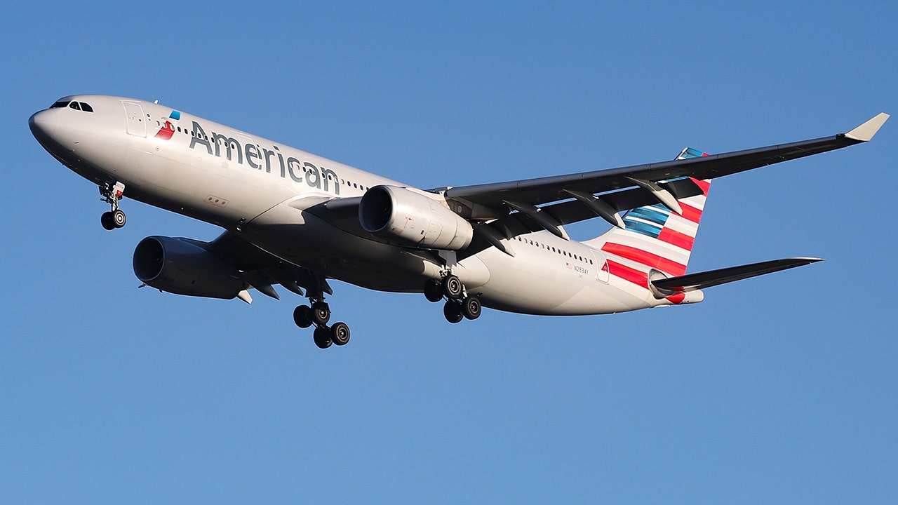 American Airlines passenger alleges racism, says she was banned from plane because of her 'tone'