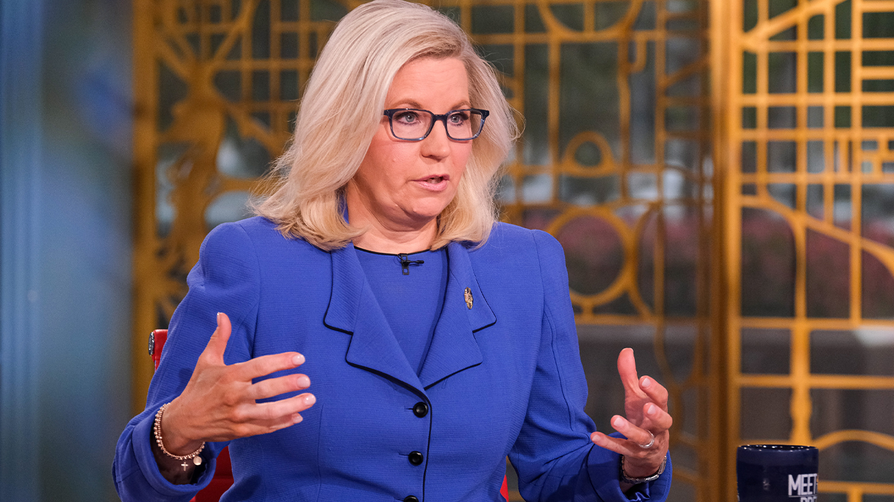 Liz Cheney, Ron DeSantis, and Elon Musk are among the finalists for TIME Person of the Year 2022